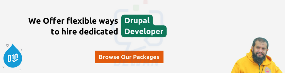 Drupal Customization Services